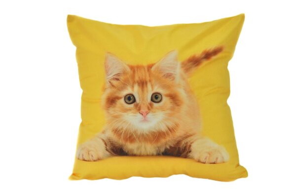 Kissenhülle Katze Kätzchen Fotodruck gelb 40 x 40 cm