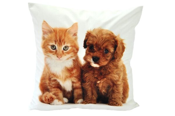 Kissenhülle Katze & Welpe Fotodruck 40 x 40 cm