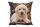 Kissenhülle Labrador-Welpe Fotodruck 40 x 40 cm
